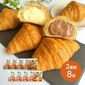 X[p[Z[  Ε 2025  ̃N[NbT 8 i JX^[h ×4 `R ×4 j RN018 XC[c NbT Ⓚp p JX^[h `R `Rp yY 