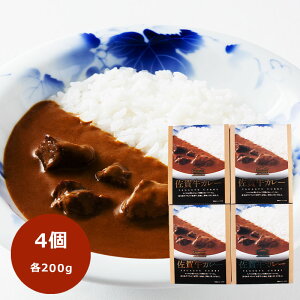  Ε 2025 ˂ ꋍJ[ 4 SA014 ꋍ J[ curry Y јaJ[   r[tJ[ r[t Hi lߍ킹 񂹃O Y j lߍ i j