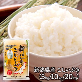 お歳暮 2026 田中米穀 新潟県産 こしいぶき 5kg 10kg 20kg TB05-06-13 米 お米 ブランド米 新潟米 国産米 新潟こしいぶき 5キロ 10キロ 20キロ 産地直送 精米 白米 ご自宅用 お取り寄せ プレゼント 実用的 送料無料