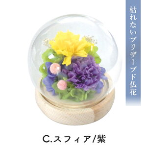  Ε 2025 SOUP KXh[AWg ͂ȂvU[uh t[ A SPPZA Iׂ4 uU[ht[  d    䋟 dp @    