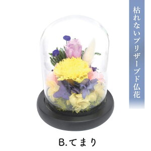  Ε ubNtCf[ 2025 SOUP KXh[AWg ͂ȂvU[uh t[ B SPPZB 11 uU[ht[  d    䋟 dp @ 