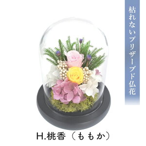 X[p[Z[  Ε 2025 SOUP KXh[AWg ͂ȂvU[uh t[ B SPPZB 11 uU[ht[  d    䋟 dp @  