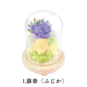  Ε 2025 SOUP KXh[AWg ͂ȂvU[uh t[ B SPPZB 11 uU[ht[  d    䋟 dp @    @v 