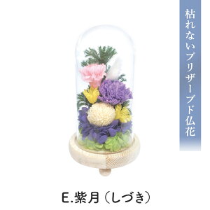 X[p[Z[  Ε 2025 SOUP KXh[AWg ͂ȂvU[uh t[ D SPPZD Iׂ7 uU[ht[  d    䋟 dp @ 