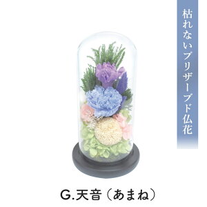  Ε 2025 SOUP KXh[AWg ͂ȂvU[uh t[ D SPPZD Iׂ7 uU[ht[  d    䋟 dp @    