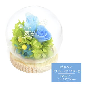 超早割 お歳暮 2025 SOUP ガラスドームアレンジメント 枯れないプリザーブドフラワーE 3,880円(税・送料込) SPPZE 選べる5種 造花 花 お花 ブリザードフラワー プリザ お祝い 内祝い お礼 プレゼ