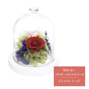 超早割 お歳暮 2025 SOUP ガラスドームアレンジメント 枯れないプリザーブドフラワーF 4,450円(税・送料込)SPPZF 選べる4種 造花 花 お花 ブリザードフラワー プリザ お祝い 内祝い お礼 プレゼ
