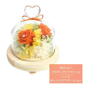 超早割 お歳暮 2025 SOUP ガラスドームアレンジメント 枯れないプリザーブドフラワーG 4,820円(税・送料込) SPPZG 選べる2種 ブリザードフラワー 造花 花 お花 プリザ お祝い 内祝い お礼 プレゼ