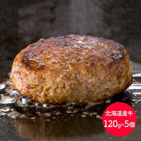 【クーポン配布中!】 北海道産牛ハンバーグ 120g×5個 SS-015 お取り寄せ 特産 手土産 お祝い セット おすすめ 贈答品 内祝い お礼 お取り寄せグルメ 温めるだけ レトルト 湯煎 冷凍 ギフト 送料無料 プレゼント ぐるめ 個包装 小分け 母の日 2024