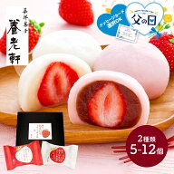 母の日 父の日 2026 京都 「 養老軒 」 博多 あまおう まるごと 苺大福 白あん こしあん 5個 12個 SK2651…