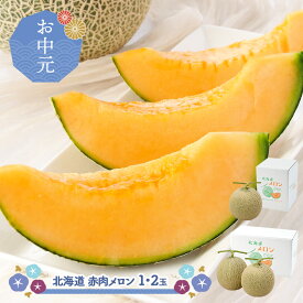 【 お中元 2026/6/25〜9/10お届け】北海道 赤肉メロン ( 1玉 / 2玉 ) SN0000-020100-1 フルーツ 果物 赤肉 メロン めろん 青果 くだもの お取り寄せ 贈り物 高級 お祝い お礼 お返し 送料無料 夏ギフト 御中元 初盆 人気