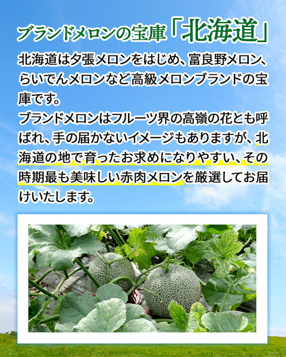 楽天市場 7 10 8 10お届け 北海道メロン 旬の桃 赤肉メロン 1玉 約1 3kg 桃約900g 3玉 4玉 Sn0000 0197 めろん もも プレゼント フルーツ 青果 くだもの 果物 お取り寄せ お祝い 詰め合わせ おすすめ 記念日 内祝い お礼 ギフト 送料無料 22 ギフト百花