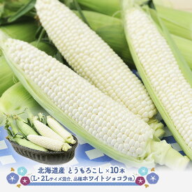 【クーポン配布中！】【8/21～9/15お届け】 北海道産 とうもろこし （ ホワイト ） SN0000-031091 野菜 夏野菜 トウモロコシ コーン お取り寄せ お祝い 詰め合わせ おすすめ 誕生日 記念日 内祝い お礼 食品 プレゼント ギフト 送料無料