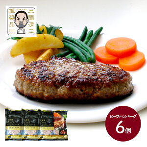  Ε ubNtCf[ 2025 OOi kC r[tno[O 6 SN4205-070011 mH Ⓚ  yY j i j  񂹃O Mtg  