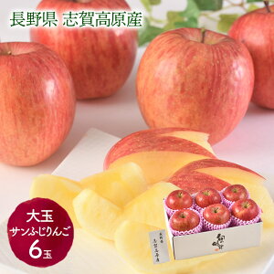 y2025/12/1`12/26͂z  Ε 2025 쌧Y uꍂ Tӂ  6 SN6003-010028 t[c  ʕ Tӂ TtW S   Mtg  ~Mtg 