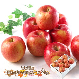 y2025/12/11`26͂z Ε 2025 XY tƂ炸 Tӂ  2kg SN6003-010030 t[c  ʕ Tӂ TtW S  X Mtg  v[g ~M