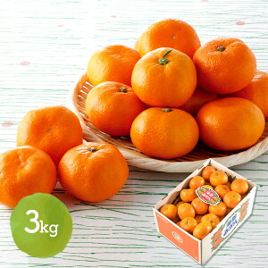 y2025/12/1`12/15͂z  Ε 2025 mJASs S݂ 3kg SN6003-010033   ʕ t[c ݂ ~J k j  Mtg  v[g ~Mtg Ε