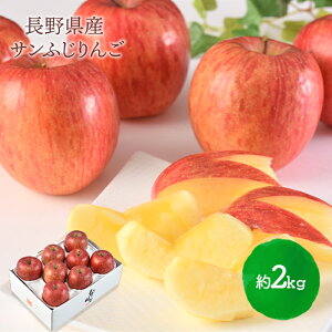 y2025/12/1`26͂z  Ε 2025 쌧Y Tӂ   2kg 6 ` 8 SN6003-010088 t[c  ʕ S ӂ lC  pI a LO j  
