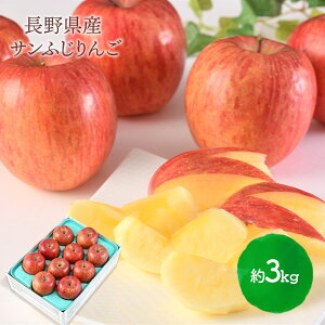 【2025/12/1〜26お届け】 早割 お歳暮 2025 長野県産 サンふじ りんご 約 3kg 10個 〜 12個 SN6003-010089 フルーツ くだもの 果物 リンゴ さんふじ 人気 長野 実用的 誕生日 記念日 内祝い お礼 お取り寄