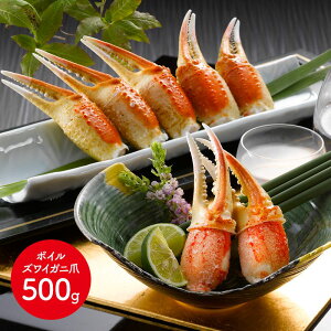  Ε 2025 {CYCKj 500g SK1167  킢 Jj I  I Y yY j lߍ  i j  񂹃O Mtg  v[g