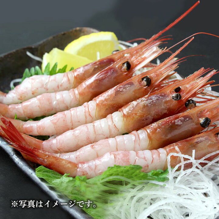 楽天市場 早割 日本海 甘エビ 500g 45 50尾 Sk1199 お取り寄せ 海老 えび 海鮮 特産 手土産 お祝い 詰め合せ おすすめ 贈答品 内祝い お礼 お取り寄せグルメ ギフト 送料無料 プレゼント 22 実用的 ぐるめ ギフト百花 楽天市場 早割 日本海 甘エビ 500g 45 50尾 Sk1199 お取り寄せ 海老 えび 海鮮 特産 手土産 お祝い 詰め合せ おすすめ 贈答品 内祝い お礼 お取り寄せグルメ ギフト 送料無料 プレゼント 22 実用的 ぐるめ ギフト百花