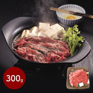  Ε ubNtCf[ 2025 uTv _˃r[t ₫ Eo 300g SK130  Y yY j lߍ  i j  񂹃O Mtg 