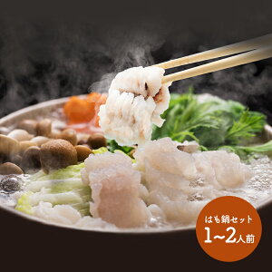  Ε 2025 啪 ͂ (啪Yؐg×250g) SK1447 Y n  y   Y yY v[g j lߍ  i j  񂹃O Mtg 