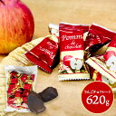 りんごチョコレート SK1515 チョコ チョコレート リンゴ ダークチョコレート 蜜漬け フルーツ ばらまき お菓子 お取り…