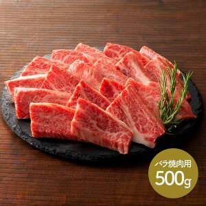  Ε 2025 F{ utW`Nv ʋ oēp 500g SK1596   Jr  Ⓚ  Y yY j  i v[g lߍ킹 j Ă Zbg Hi 