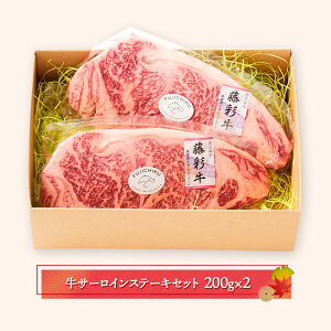  Ε 2025 F{ utW`Nv ʋT[CXe[LZbg 200g×2 SK1599 v[g Hi Hו  Xe[L    Ⓚ yY j lߍ킹  i 