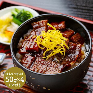  Ε 2025  uጎv ͂Ђ܂Ԃ 50g×4 v200g ^t SK1600 v[g Hi  n CN Ă  Ⓚ  yY j lߍ킹 i j 蕨 a M