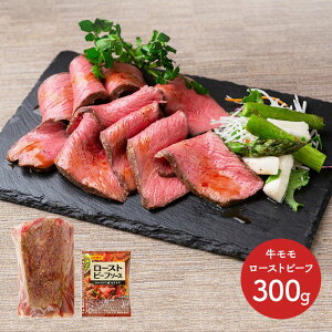  Ε ubNtCf[ 2025  MBAvX[Xgr[t 300g SK1621  Y  Ⓚ [Xgr[t Y  y yY j lߍ킹  i 