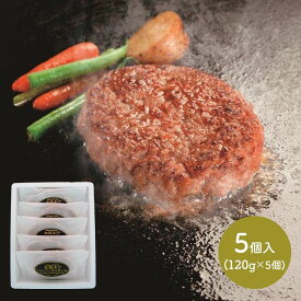 【クーポン配布中!】 三重 松阪牛入生ハンバーグ 120g×5 SK455 冷凍 お取り寄せ 特産 手土産 お祝い 詰め合せ おすすめ 贈答品 内祝い お礼 お取り寄せグルメ ギフト 送料無料 プレゼント ぐるめ 個包装 小分け 母の日 2024