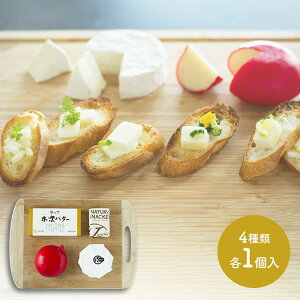  Ε 2025  ؎ƃ`[YEo^[Zbg 4×e1 SK469  Y yY j lߍ  i j  񂹃O Mtg  v[g 