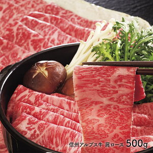  Ε ubNtCf[ 2025 MBAvXԗp [X 500g SK599  Y yY j lߍ  i j  񂹃O Mtg 