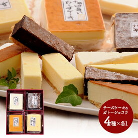 【クーポン配布中!】 十勝四角いチーズケーキ＆ガトーショコラ 4種×各120g SK685 ケーキ お取り寄せ 特産 手土産 お祝い 詰め合わせ おすすめ 内祝い お礼 お取り寄せスイーツ ギフト 送料無料 チョコ プレゼント スイーツギフト 冷凍 お菓子 母の日 2024