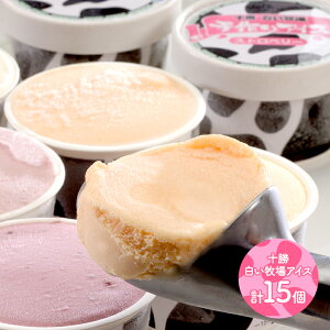  Ε 2025 \qACX 5 3 v15 SK687 ACX ACXN[ XC[c kC v[g Ђ  yY j lߍ킹  i j Mtg