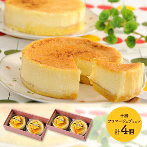  Ε NX}X 2025 kC \t}[Wu (300g×2)×2 v4 SK689 u t}[W P[L t}[WP[L  j lߍ킹 j  Mtg