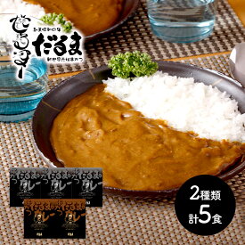 早割 お中元 2024 大阪 「串かつだるま」 2種のカレー 5個セット どて味噌煮込みカレー×2 二度づけ禁止串かつソースカレー×3 SK2084 お取り寄せ 手土産 お祝い 詰め合せ 内祝い お礼 送料無料 プレゼント ぐるめ 個包装 小分け 日持ち 父の日 御中元