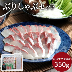 y2025/11/20`2026/3/20͂z Ε 2025 啪 u L J v 啪Y ڂ u  Zbg SK2709 u Ԃ肵 Ԃ  ڂu ڂԂ CN  Zbg CN 