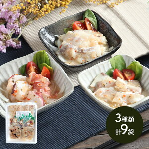  Ε 2025 啪 u L J v CN Jpb` 3 v9 SK2708 CN  y ^ ^C  Ԃ u  ^ ^R  񂹃O yY j lߍ킹 j  