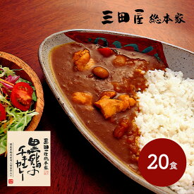 【クーポン配布中!】 三田屋総本家 黒鶏のチキンカレー 20食 各210g SK2142 惣菜 お取り寄せ 特産 お祝い セット 詰め合せ おすすめ 贈答品 内祝い お取り寄せグルメ ギフト プレゼント カレー お返し 母の日 2024