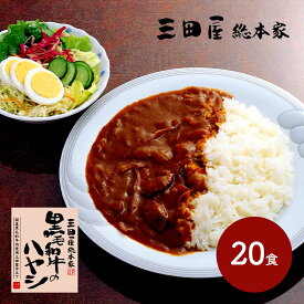 【クーポン配布中!】 三田屋総本家 黒毛和牛のハヤシ 20食 各210g SK2148 惣菜 洋食 お取り寄せ 特産 お祝い セット 詰め合せ おすすめ 贈答品 内祝い お取り寄せグルメ ギフト プレゼント ハヤシ お返し 母の日 2024