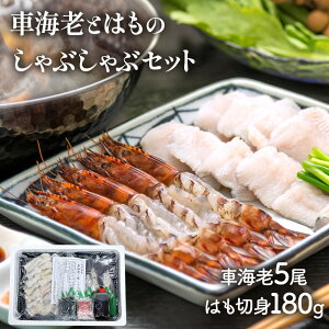  Ε 2025 啪 u L J v 啪Y ԊCV  ͂  Ԃ Zbg SK2714 Ԃ CV  Gr n CN  Zbg Zbg CN ؐg ڂ|| ݂