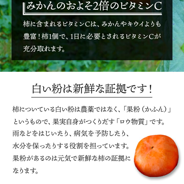 柿薄板 柿 12 かき カキ 薄板 お気にいる かき