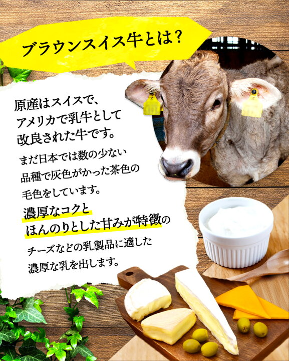 時間指定不可 北海道 ブラウンスイス乳プリン 80ml×6 www.direcauto.net 時間指定不可 北海道 ブラウンスイス乳プリン 80ml×6 www.direcauto.net