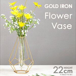 ԕr  k S[h t[x[X KX ֑} 킢 傫 CeA hCt[ Vv 􉽊wfUC ؍ WpfB  傫   _