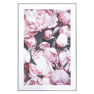 A[g|X^[ G A[g z 傫 i ۉ ʐ^ t[t A[gpl |p k ؍  킢  LoXpl J[ Ǌ| Ċ| Ǐ C