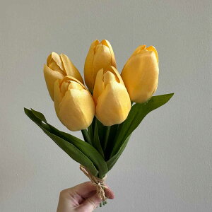 `[bv  hCt[ tFCNt[ nhCht[ XbO u[P hCt[ԑ ԑ hCt[XbO [X AW ԍ f ޗ  p[c 