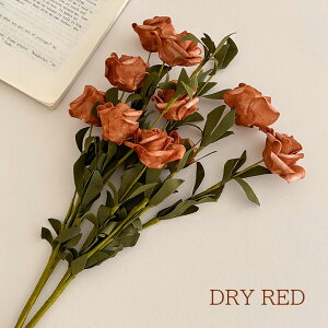  hCt[[Y KN o bh zCg ItzCg ԑZbg u[P CeA  킢  Mtg CeA  v[g  傫  